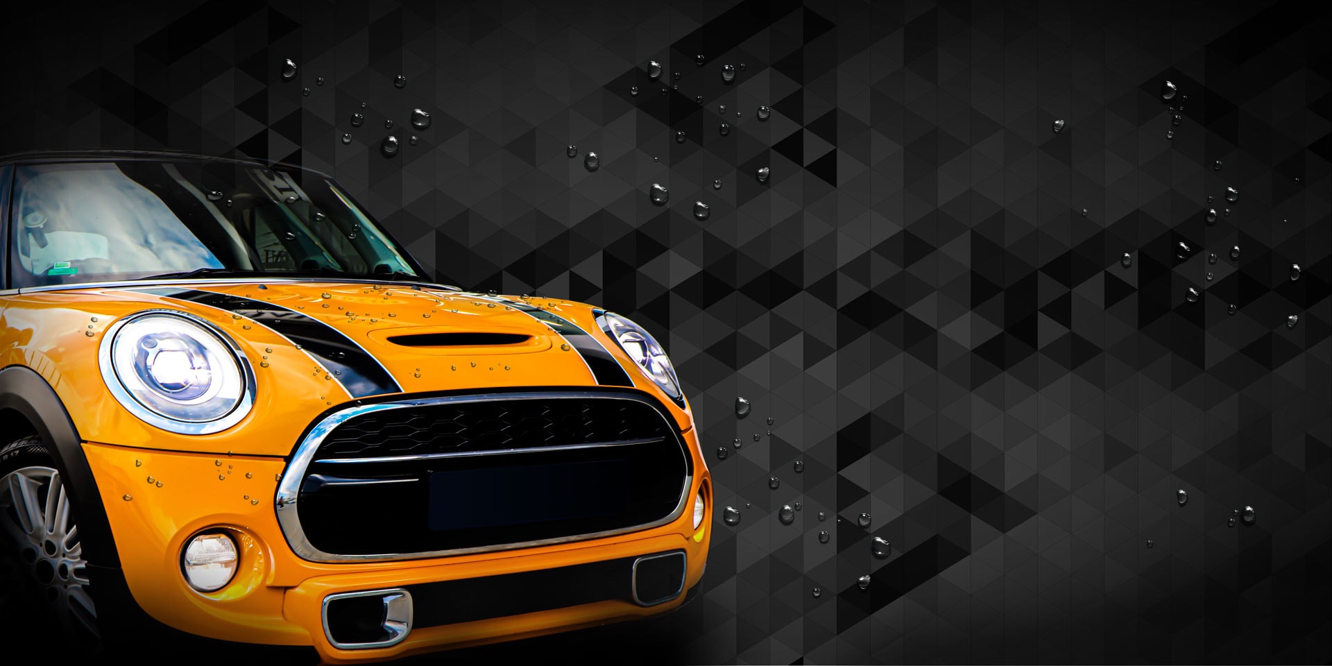 Maddox Detail - The expert brand in cleaning and car care products for detailers 4